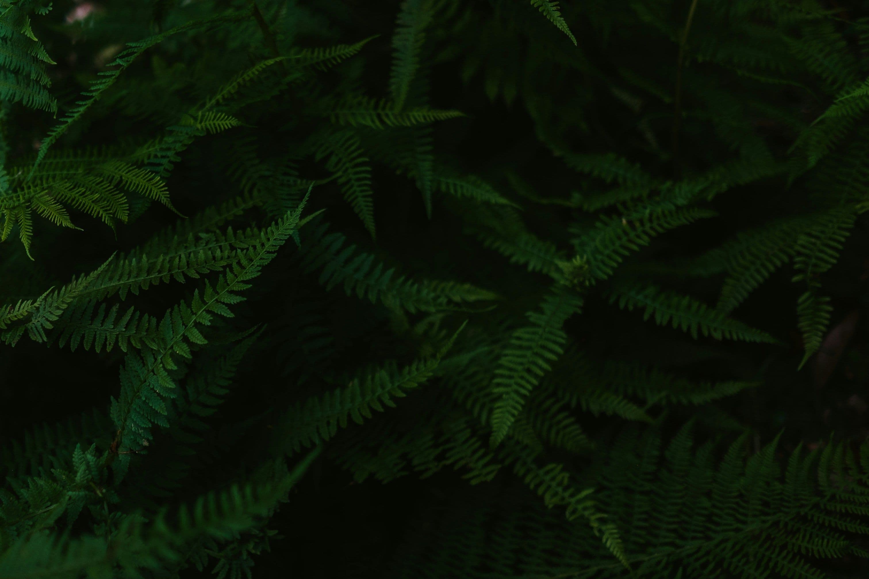 Agricultural technology background